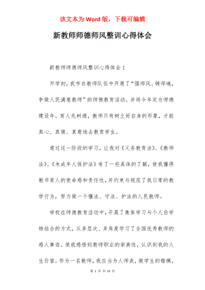 新教师师德师风整训心得体会.docx