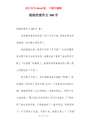 姐姐的爱作文300字.docx