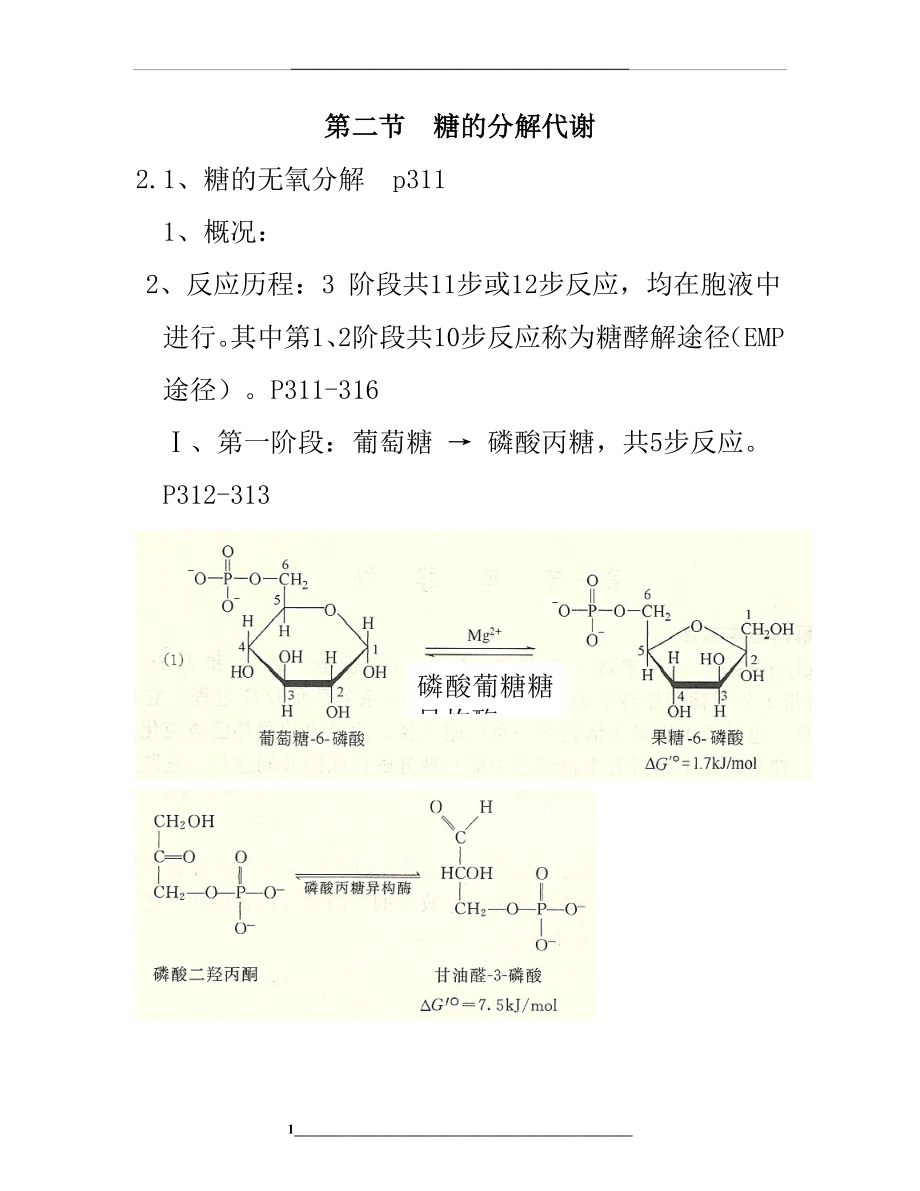 糖的分解代谢.doc_第1页