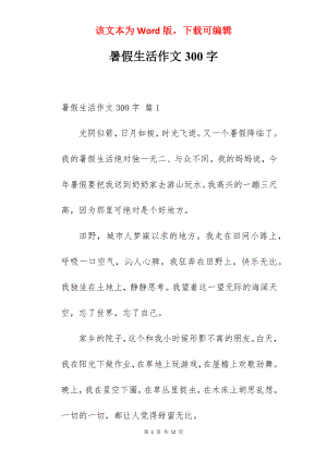 暑假生活作文300字.docx