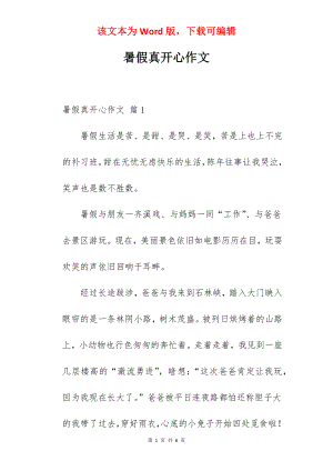 暑假真开心作文.docx