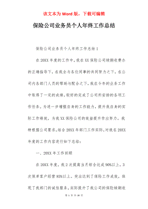 保险公司业务员个人年终工作总结.docx