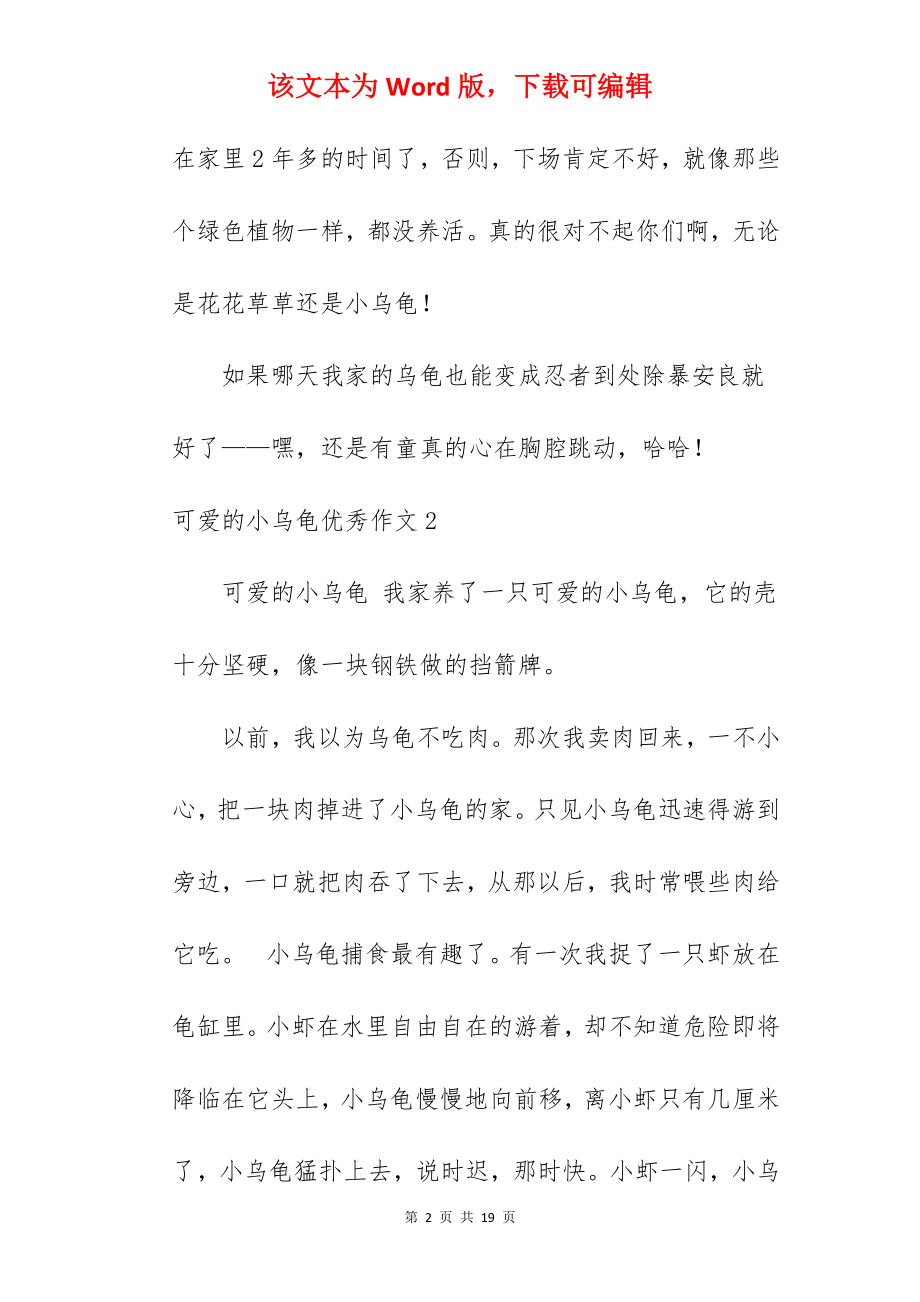 可爱的小乌龟优秀作文.docx_第2页