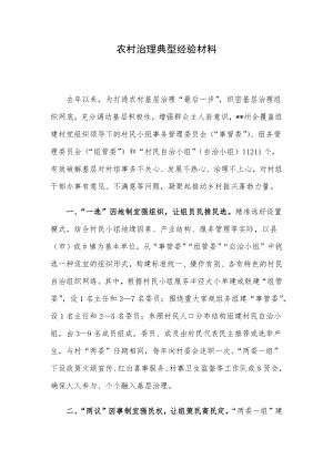 农村治理典型经验材料.docx