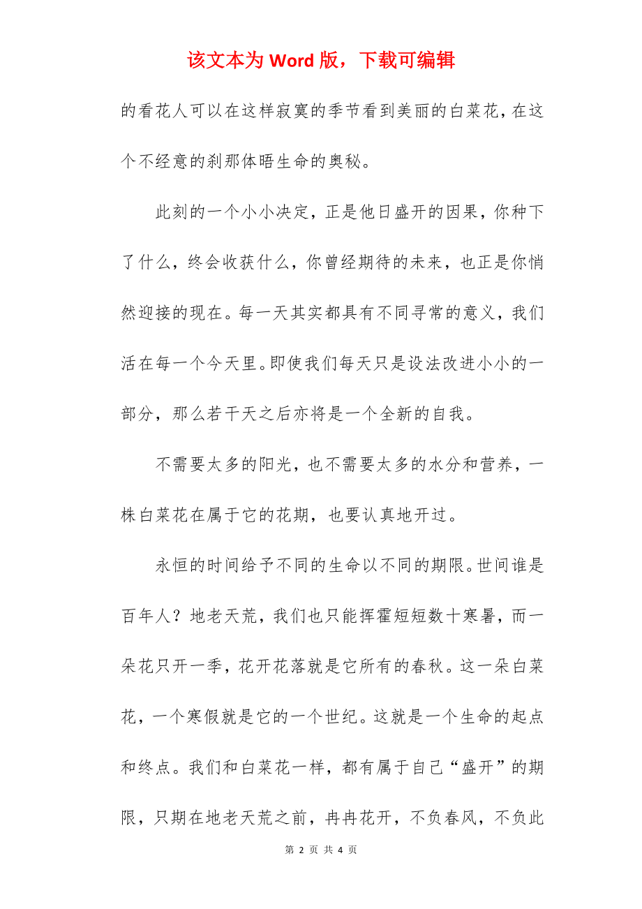 白菜花的经典散文.docx_第2页