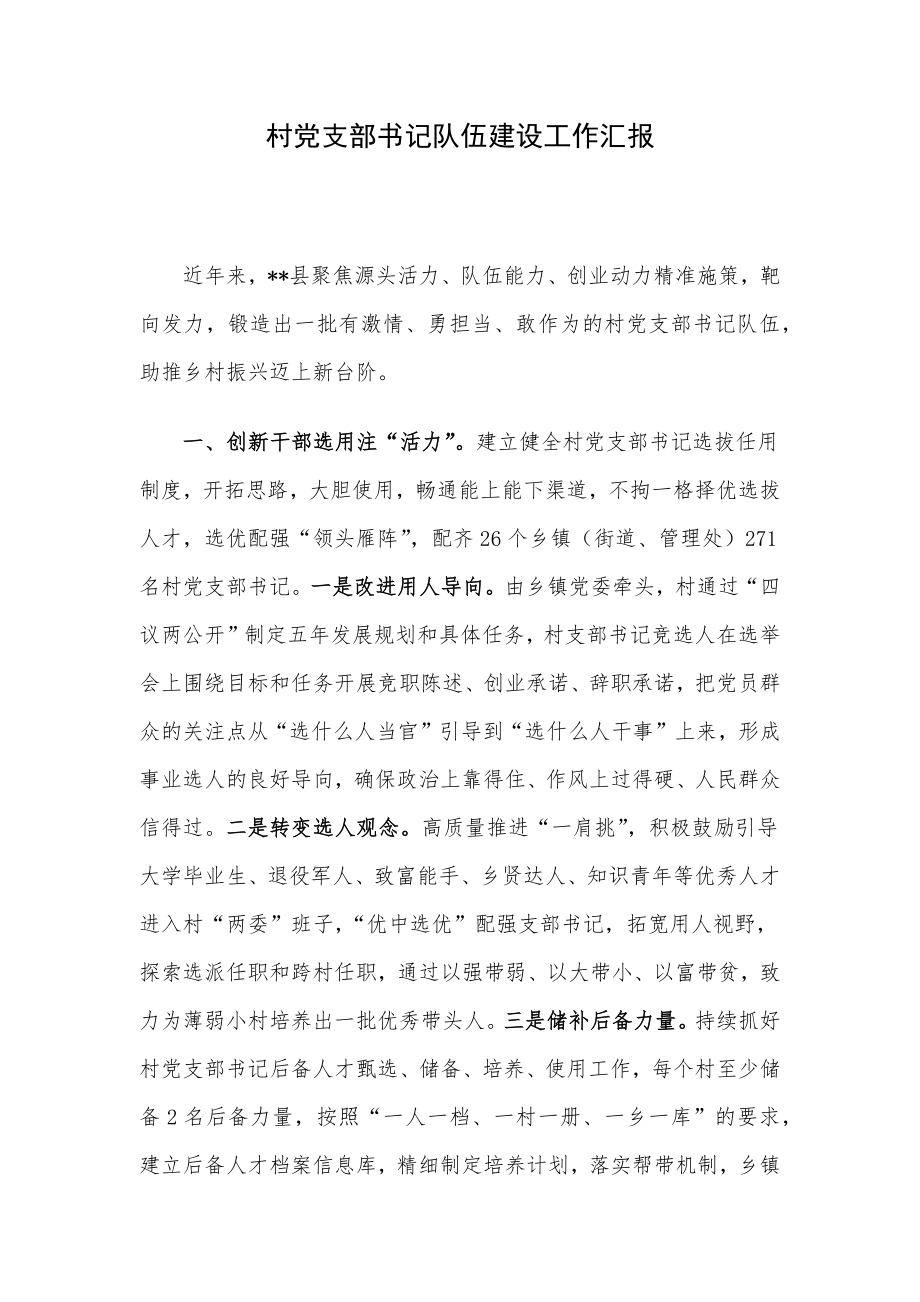 村党支部书记队伍建设工作汇报.docx_第1页