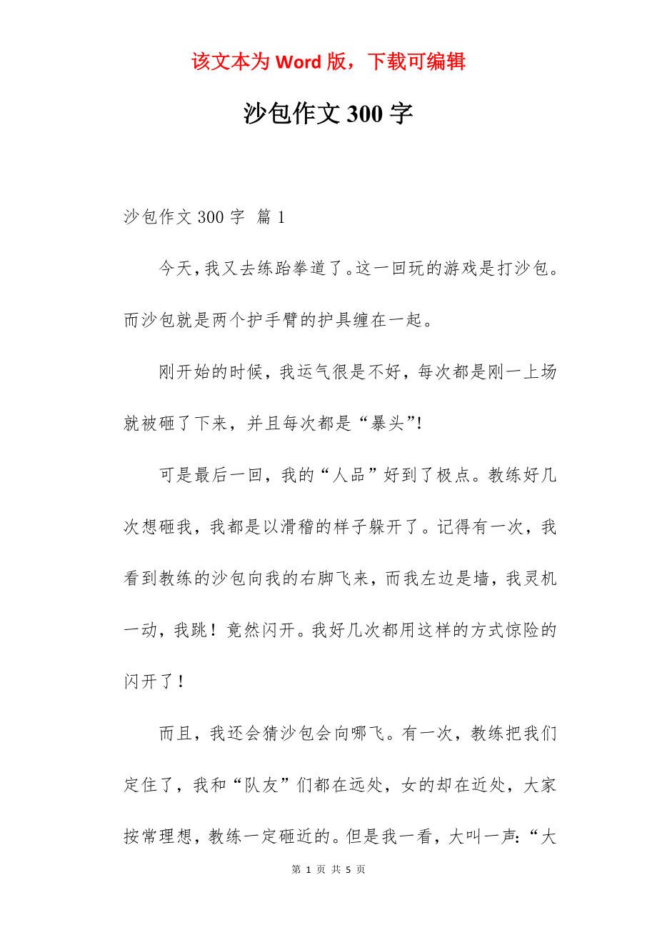 沙包作文300字.docx_第1页