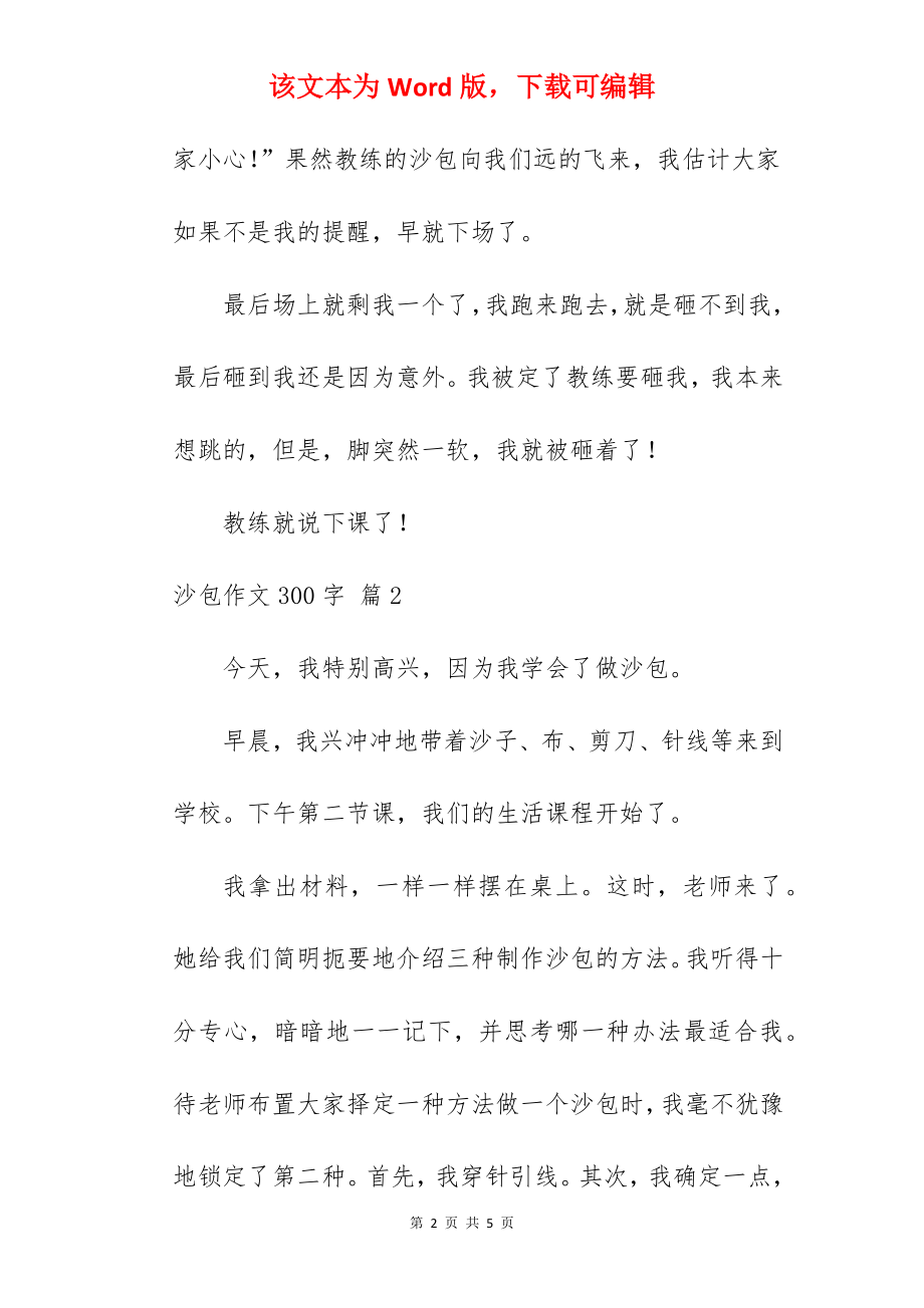 沙包作文300字.docx_第2页