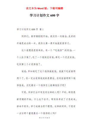 学习计划作文600字.docx