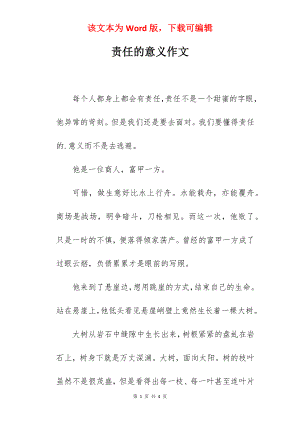 责任的意义作文.docx