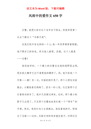 风雨中的爱作文650字.docx