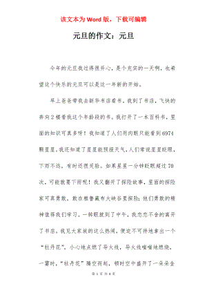 元旦的作文：元旦.docx