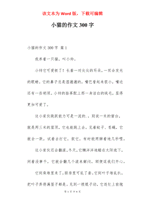 小猫的作文300字.docx