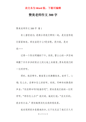 赞美老师作文300字.docx