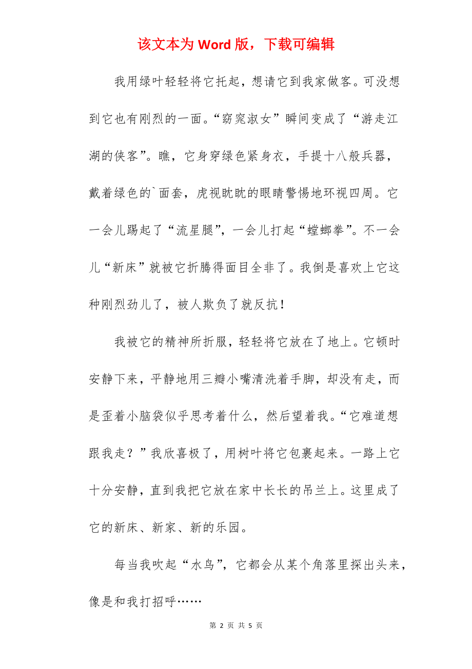 小螳螂作文.docx_第2页