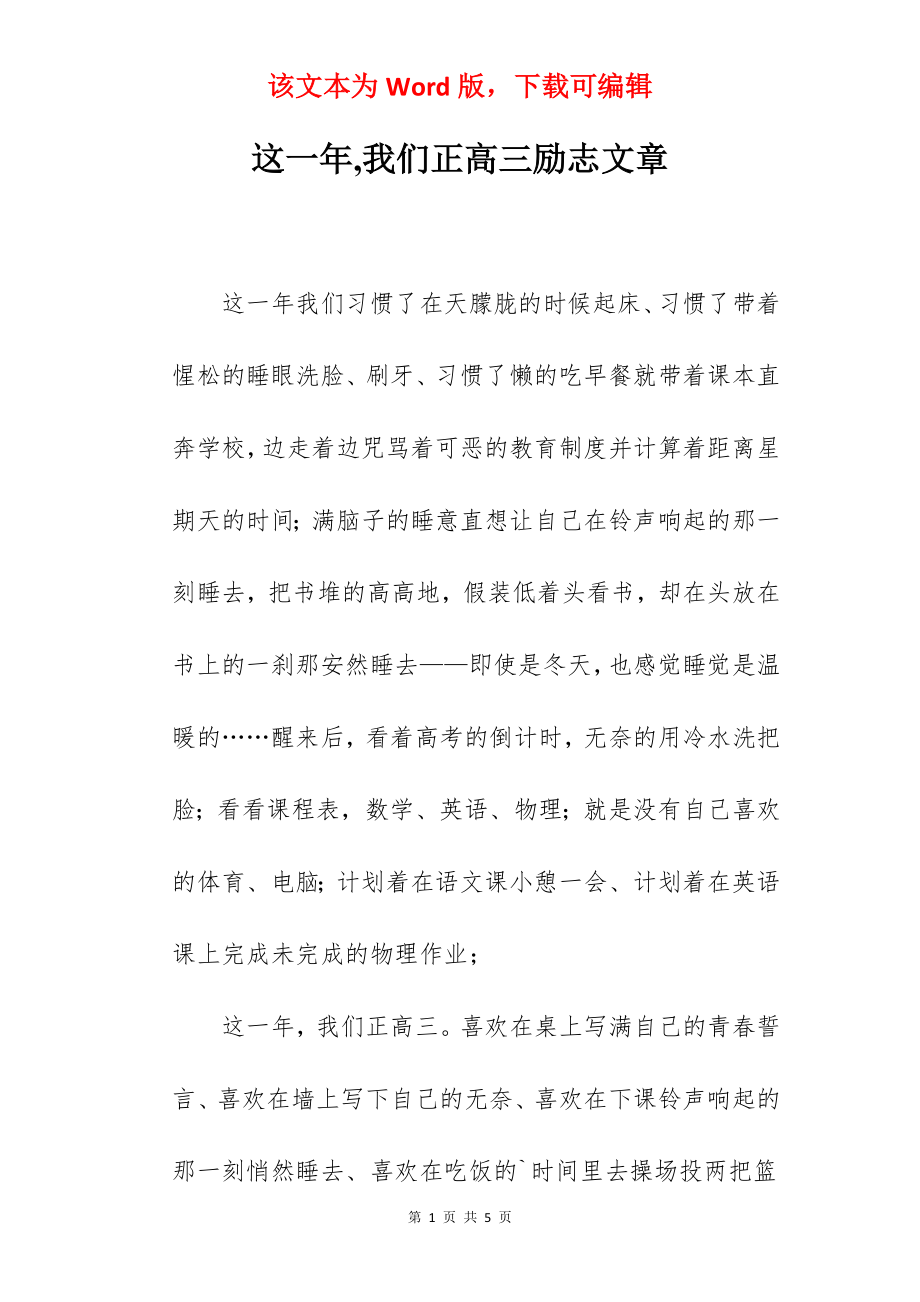 这一年,我们正高三励志文章.docx_第1页