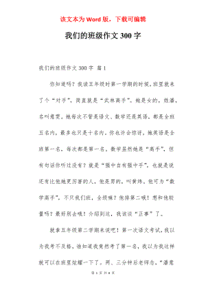 我们的班级作文300字.docx