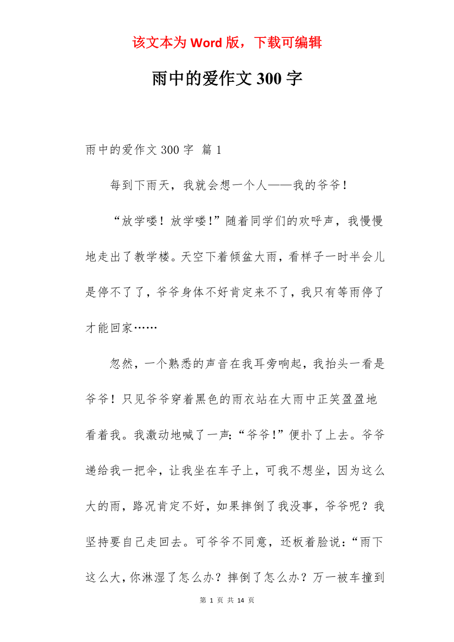 雨中的爱作文300字.docx_第1页