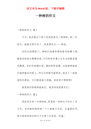 一种树的作文.docx