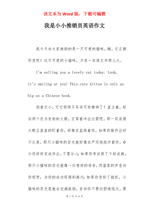 我是小小推销员英语作文.docx