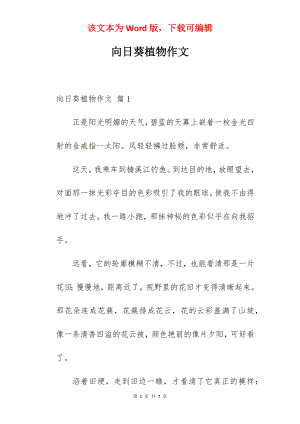 向日葵植物作文.docx