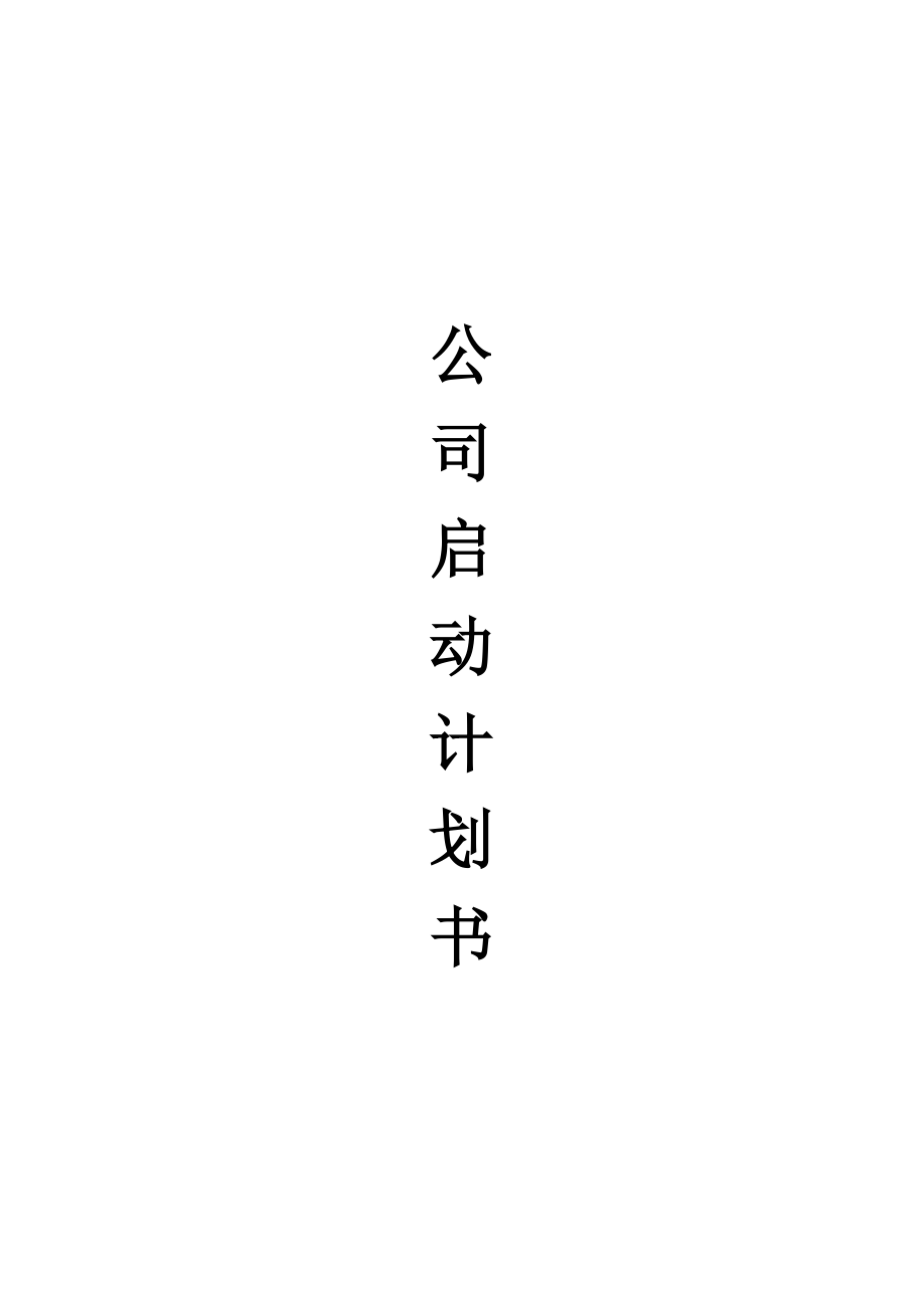 公司启动计划书20180130.doc_第1页