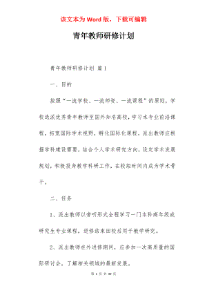 青年教师研修计划.docx