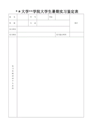 大学生暑期实习鉴定表(模板).doc