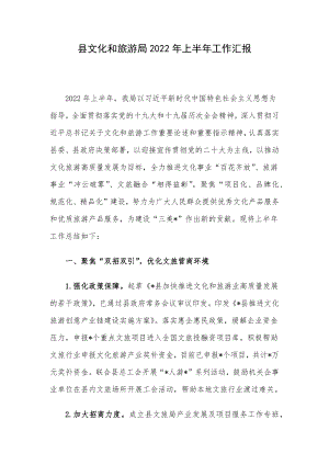 县文化和旅游局2022年上半年工作汇报.docx