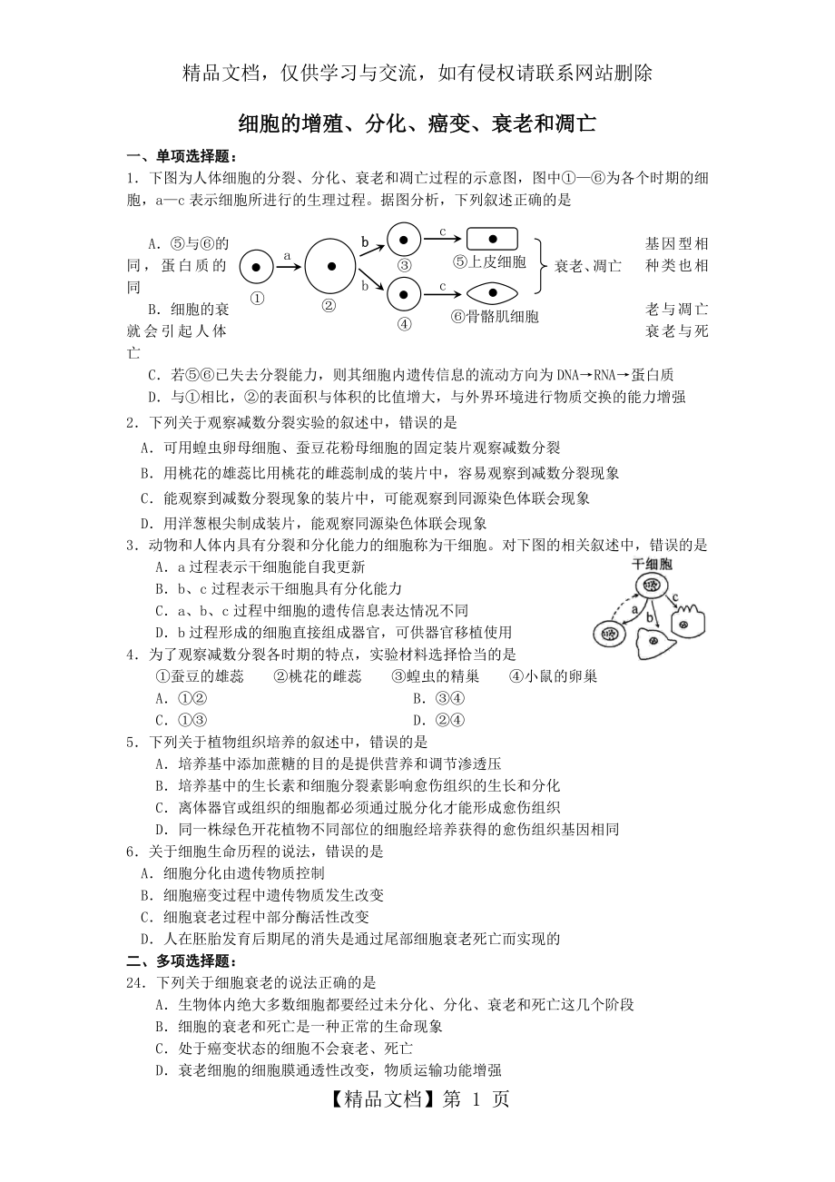 细胞的增殖、分化、癌变、衰老和凋亡.doc_第1页