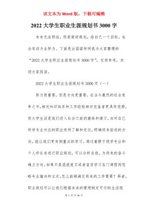 2022大学生职业生涯规划书3000字.docx