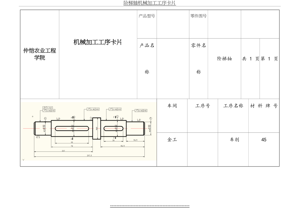 阶梯轴机械加工工序卡片.doc_第2页