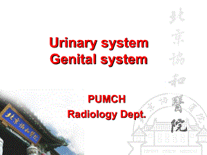 (5.2.3)--泌尿生殖系统正常及异常影像学表现实习英文版.pdf