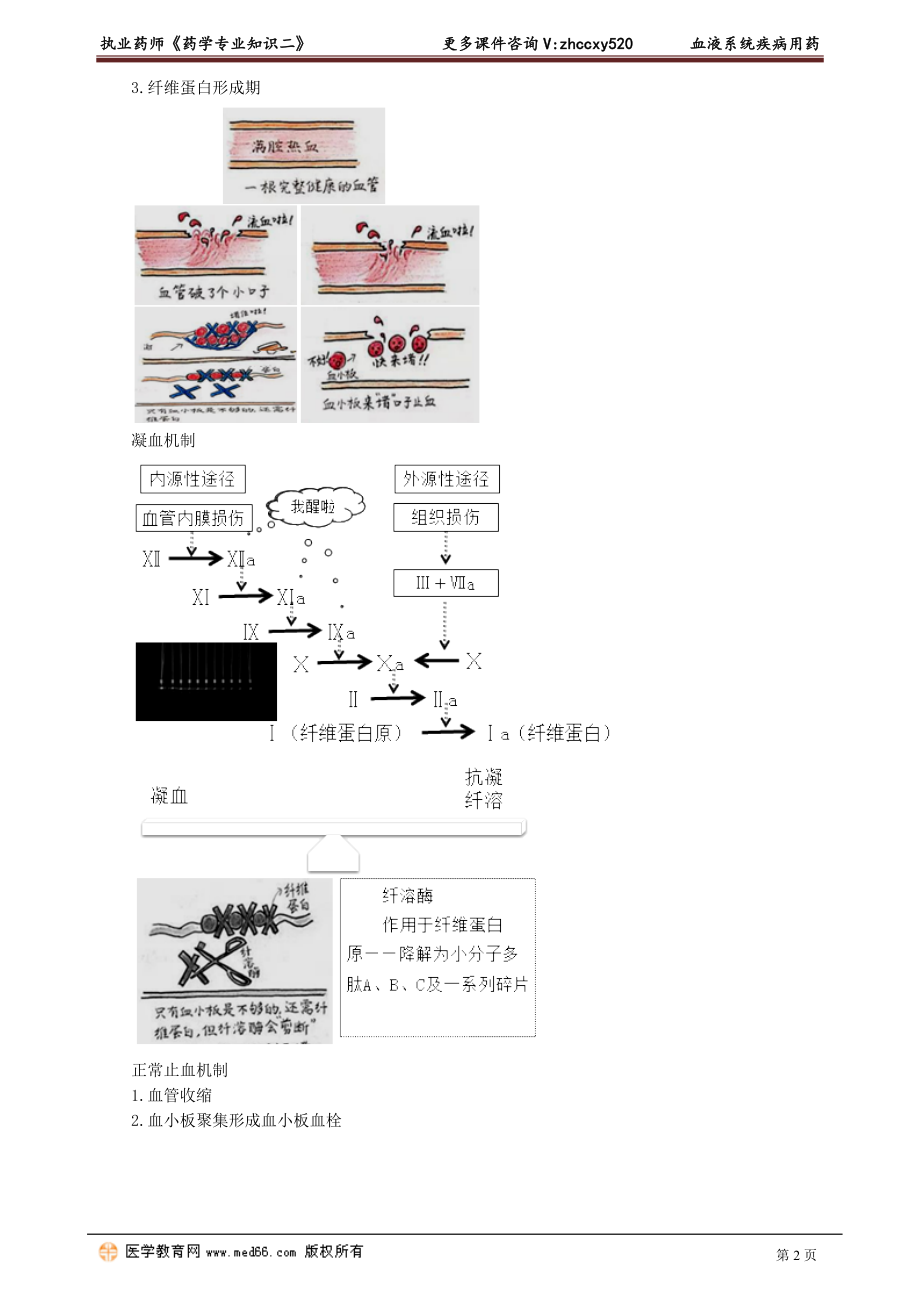 2021执业药师考试药学专业知识二讲义之 血液系统疾病用药.doc_第2页