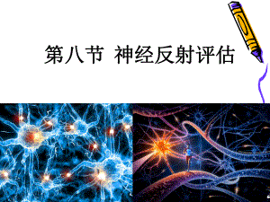 神经系统评估ppt课件.ppt