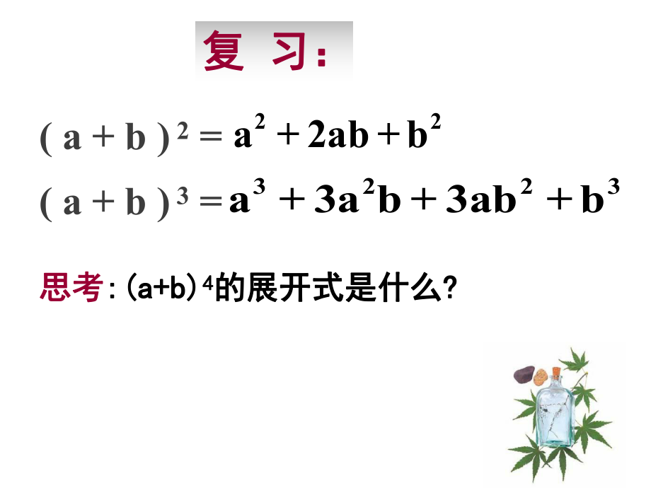 数学：1.3.1《二项式定理》(一)课件(人教A版选修)ppt.ppt_第2页