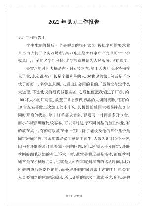 2022年见习工作报告例文.docx