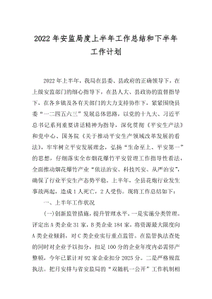 2022年安监局度上半年工作总结和下半年工作计划.docx