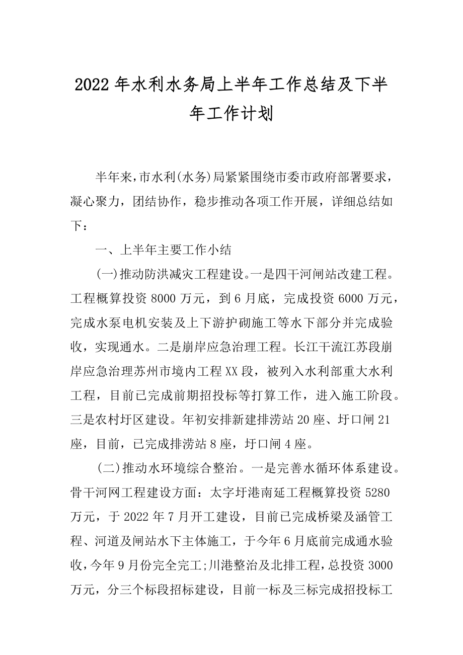 2022年水利水务局上半年工作总结及下半年工作计划.docx_第1页