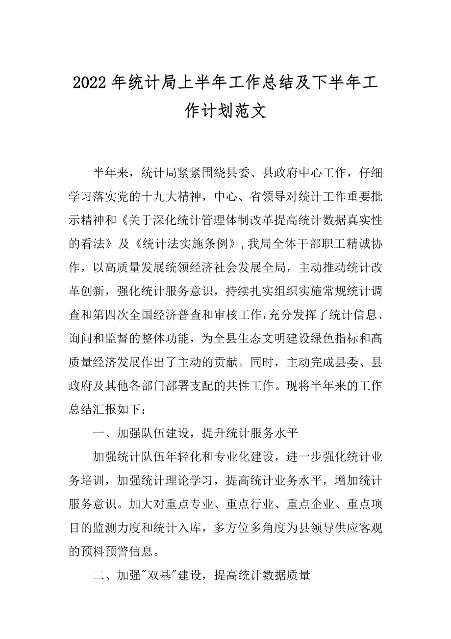 2022年统计局上半年工作总结及下半年工作计划范文.docx_第1页