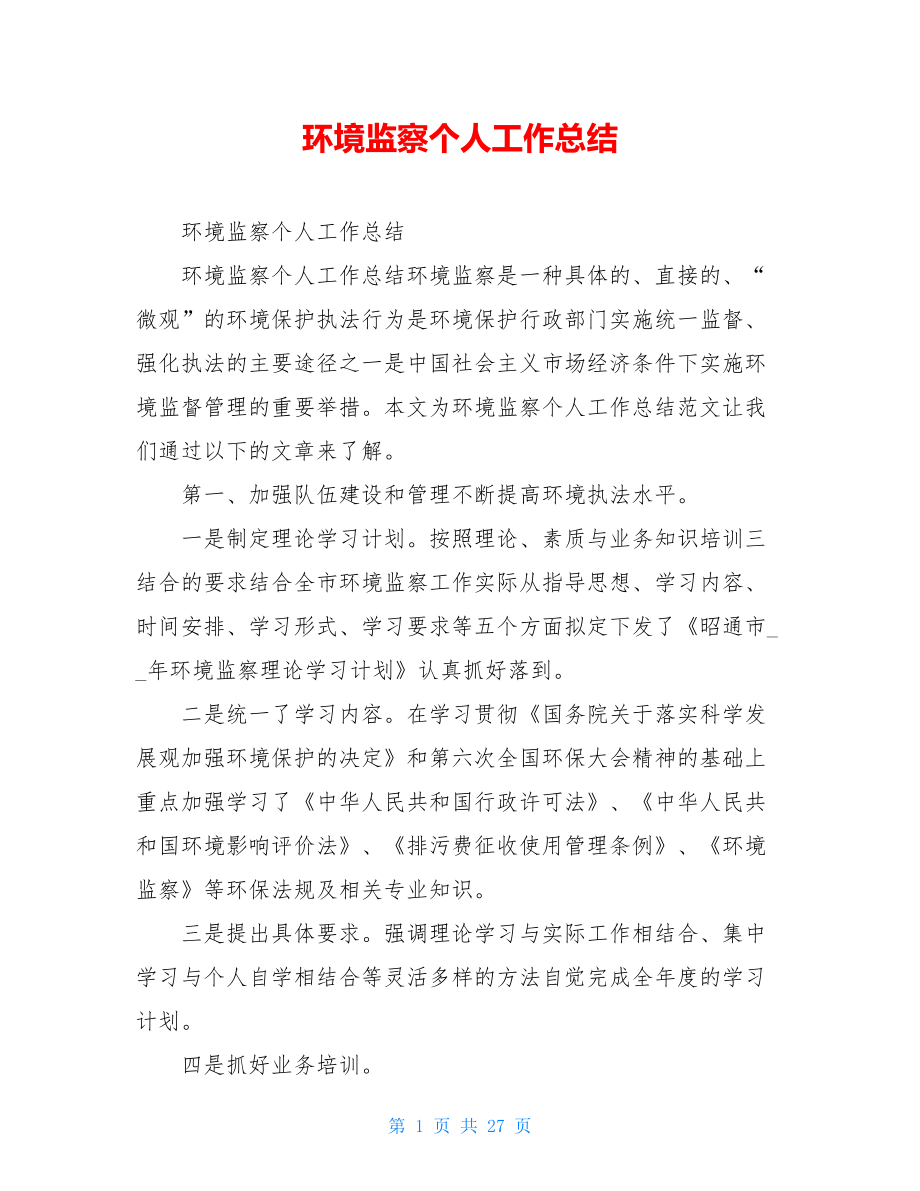 环境监察个人工作总结.doc_第1页