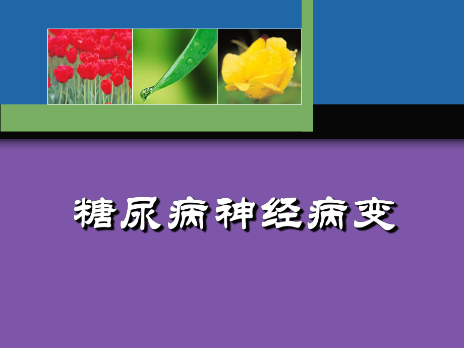 糖尿病神经病变ppt课件.ppt_第1页