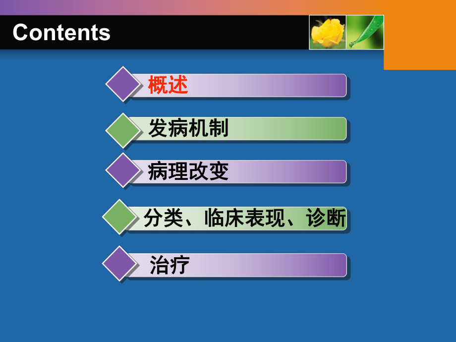 糖尿病神经病变ppt课件.ppt_第2页