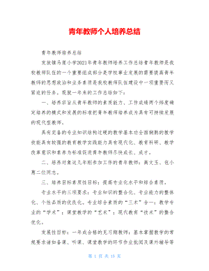 青年教师个人培养总结.doc