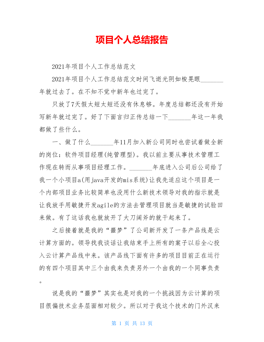 项目个人总结报告.doc_第1页