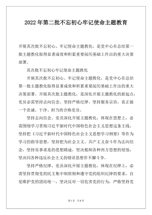 2022年第二批不忘初心牢记使命主题教育.docx