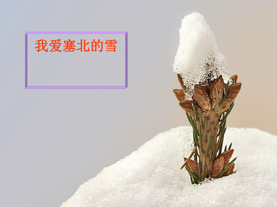 初中音乐《我爱你-塞北的雪》课件ppt.ppt_第2页