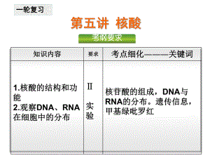 第5讲核酸(一轮复习)ppt课件.ppt