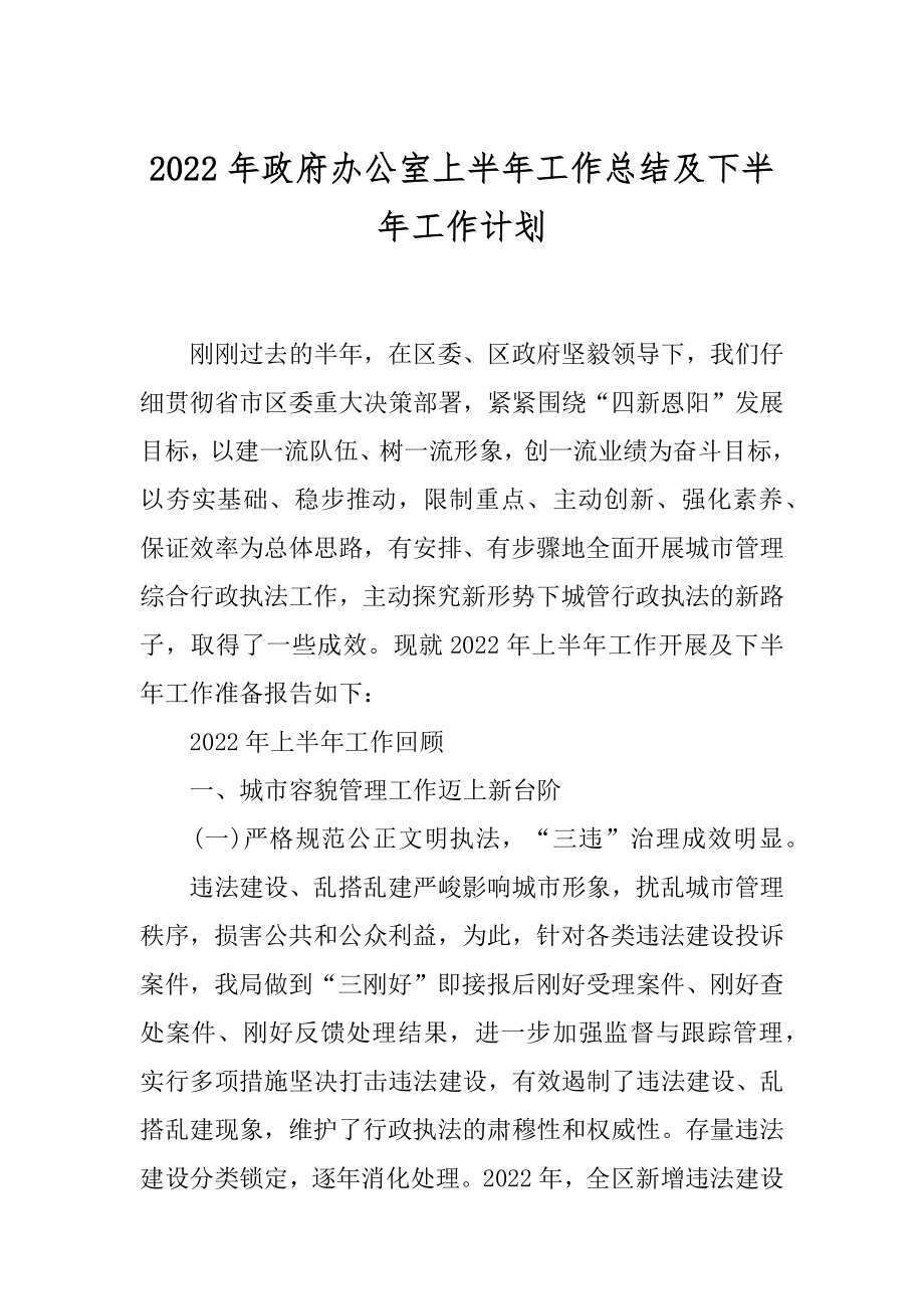 2022年政府办公室上半年工作总结及下半年工作计划.docx_第1页