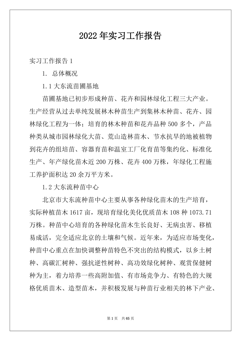 2022年实习工作报告优质.docx_第1页